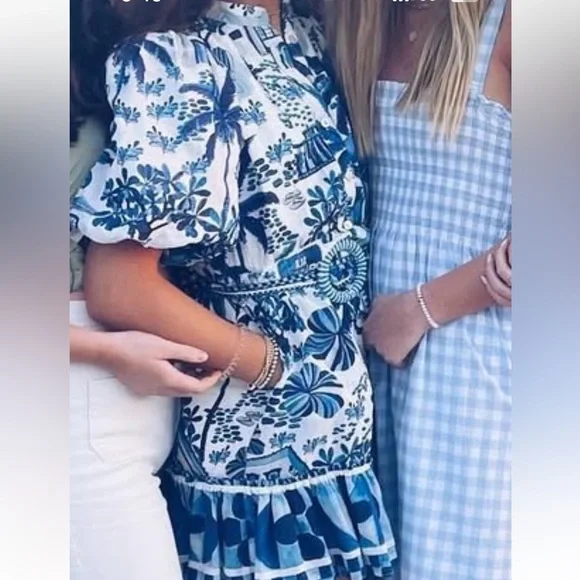 Farm Rio sweet rio puff sleeve mini dress - Picture 4 of 4